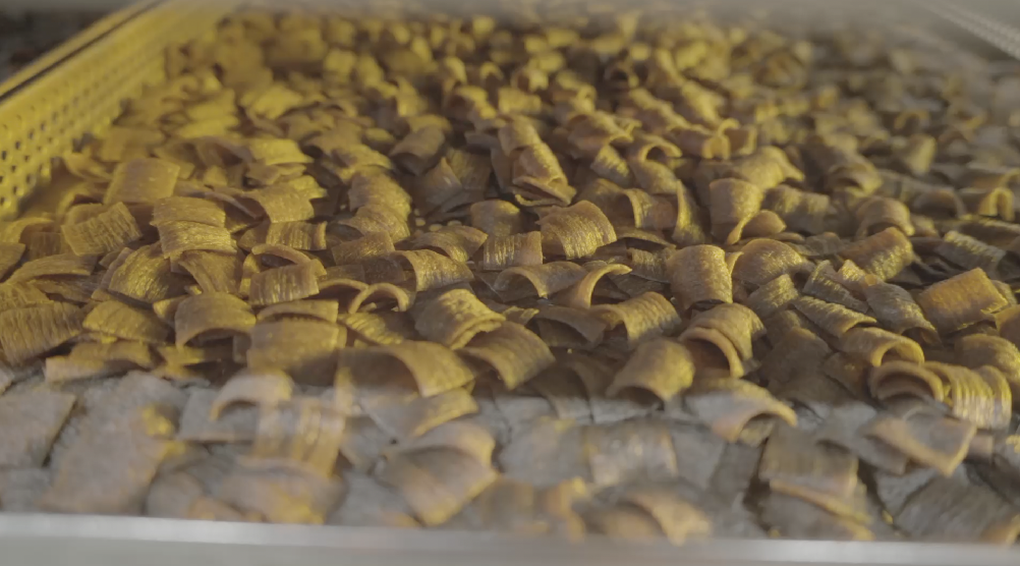 Đạm dế trong mì gói: Tầm nhìn mới của Rec Rec - 3