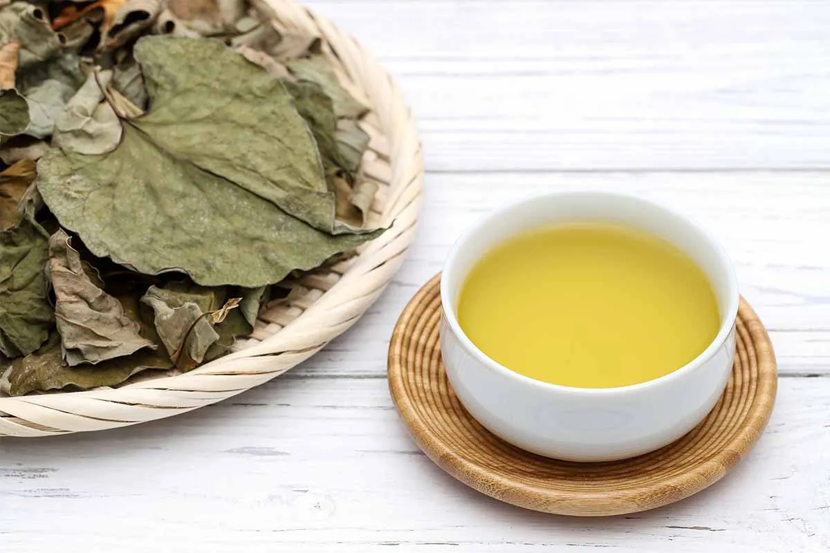 Loại rau người Trung Quốc ví là 