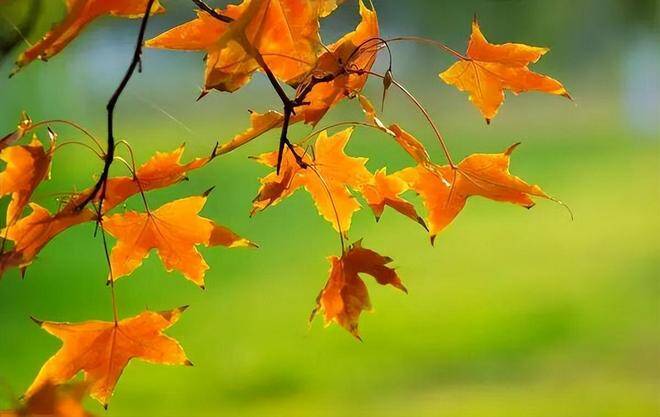 Tuổi trung niên, nhớ 3 câu nói này và cuộc sống của bạn sẽ dễ dàng hơn - 2