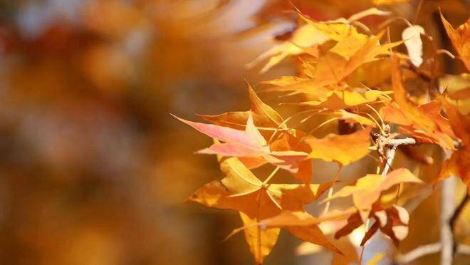 Tuổi trung niên, nhớ 3 câu nói này và cuộc sống của bạn sẽ dễ dàng hơn - 4