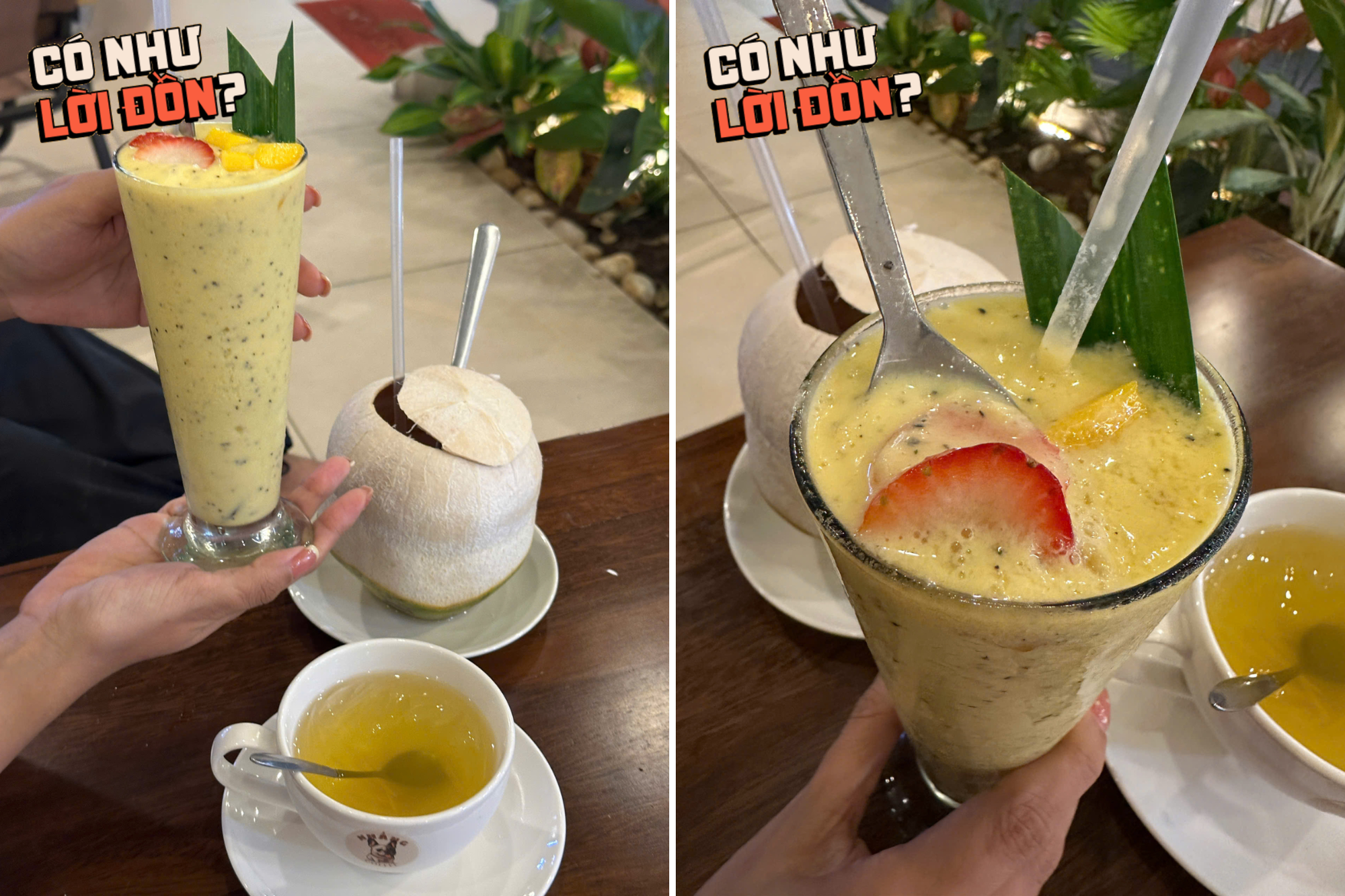 Trấn Thành từng tấm tắc khen quán cà phê của mẹ OgeNus, mức giá gây bất ngờ nhưng hương vị thực tế ra sao?- Ảnh 5.