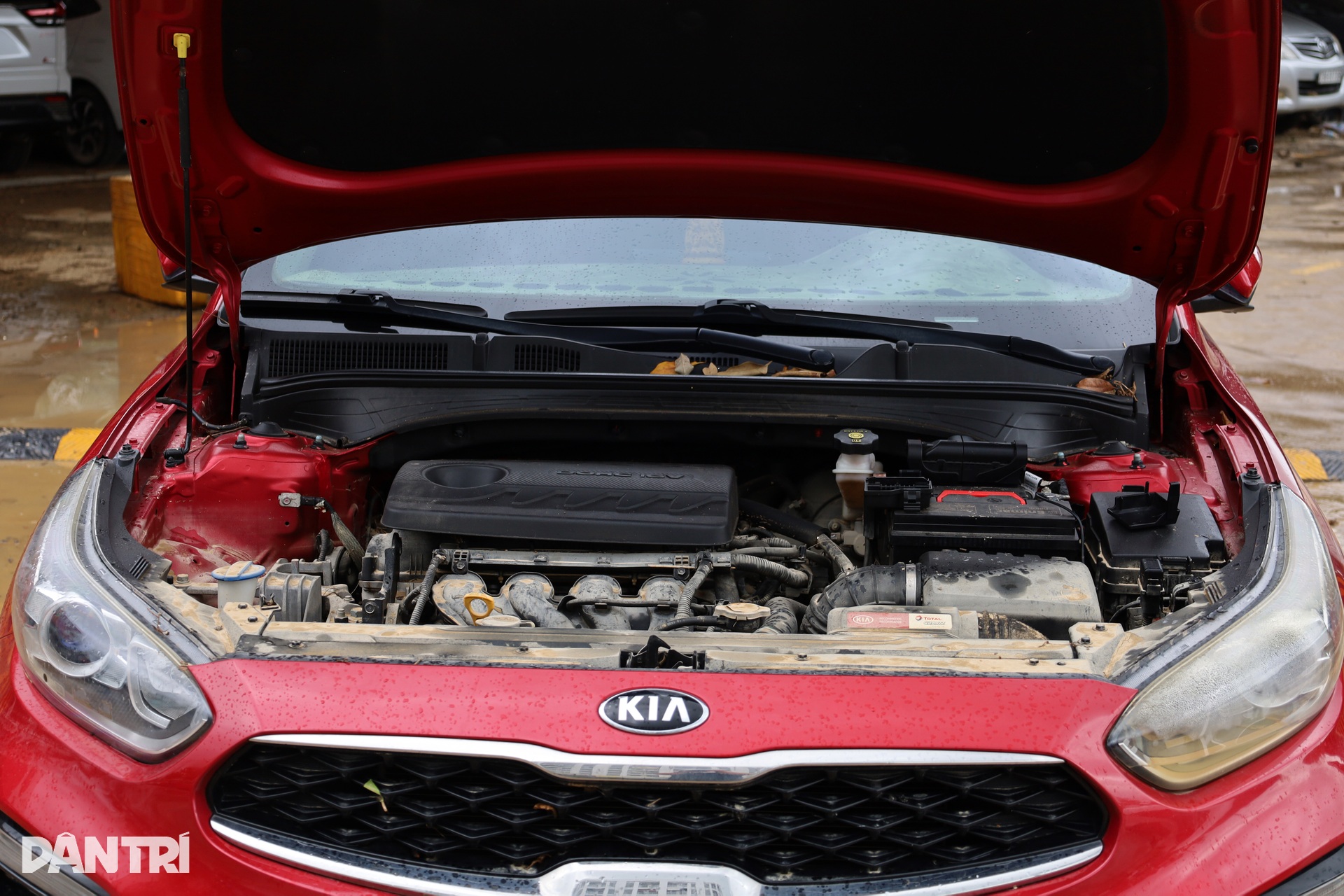 Cứu ô tô, xe máy ở Nha Trang sau lũ rút - 3