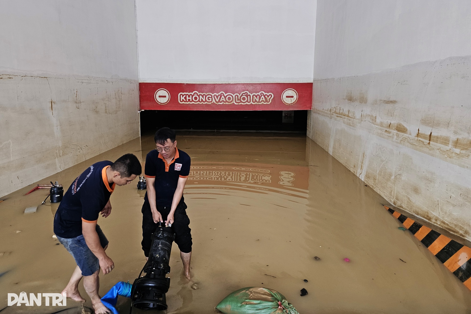 Cứu ô tô, xe máy ở Nha Trang sau lũ rút - 9