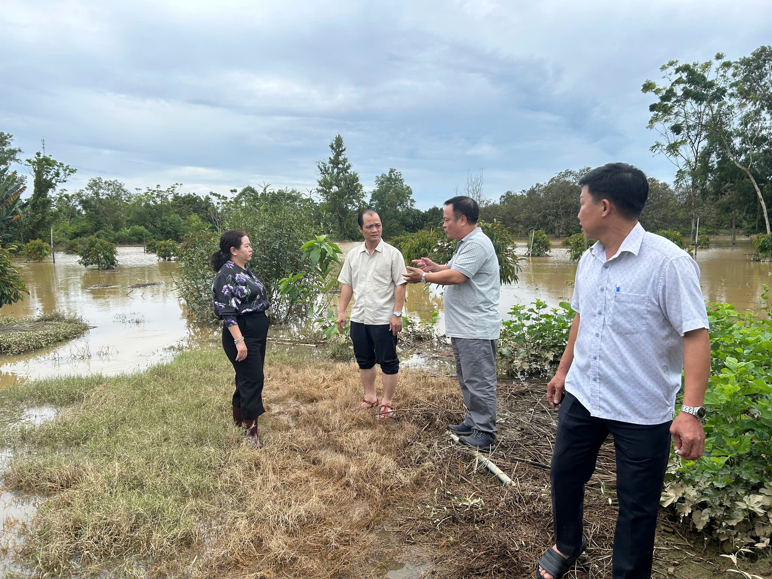 Đồng Nai: Thủy điện xả tràn không báo trước gây ngập lụt, thiệt hại 40 tỉ đồng- Ảnh 5. Đồng Nai: Thủy điện xả tràn không báo trước gây ngập lụt, thiệt hại 40 tỉ đồng- Ảnh 5.