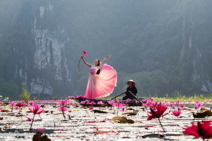 Thích thú check-in cùng hoa súng hồng