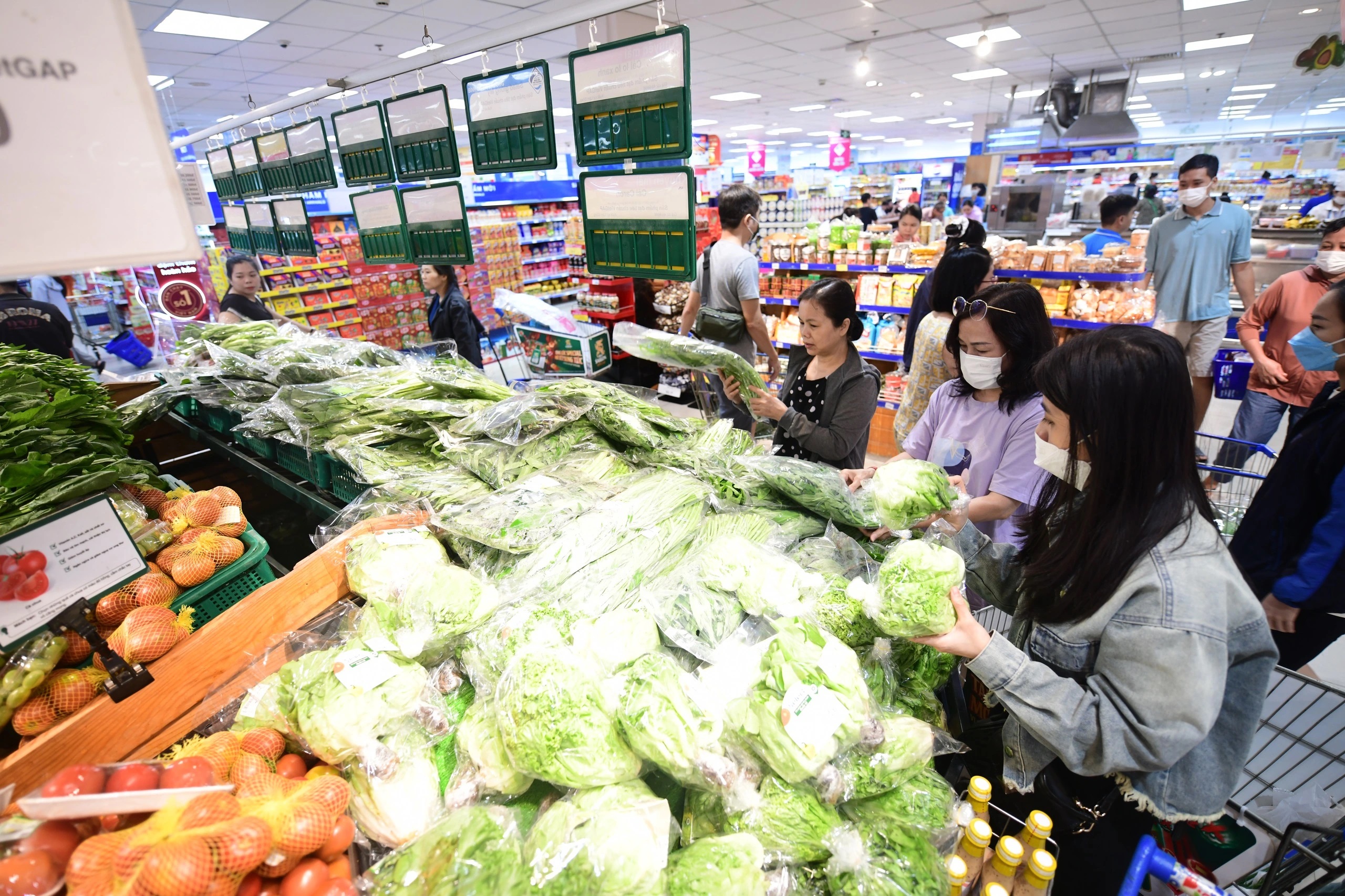 Rau xanh tăng giá vùn vụt- Ảnh 2.