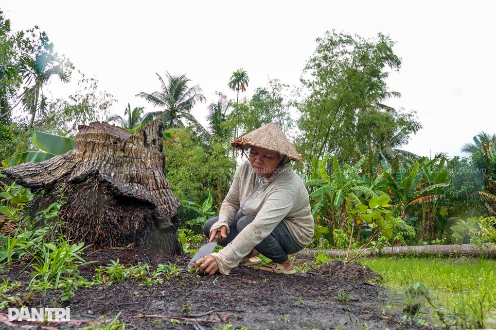 Mẹ đơn thân lay lắt nuôi con gái 9 tuổi trong căn nhà sắp sập - 4