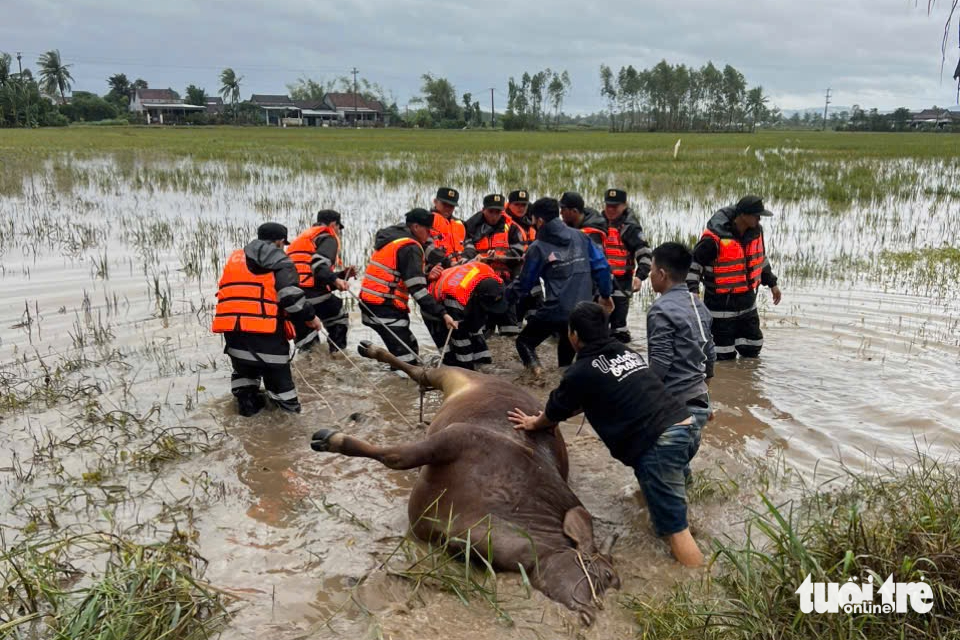 vùng lũ - Ảnh 7.