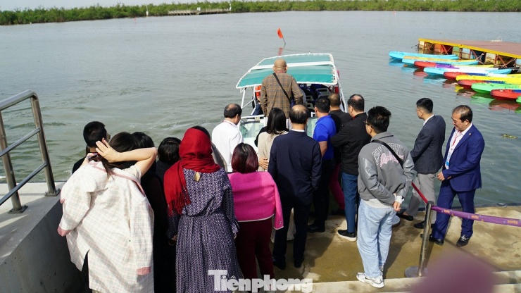 Du khách thích thú trải nghiệm rừng ngập mặn ở Đồ Sơn - 4