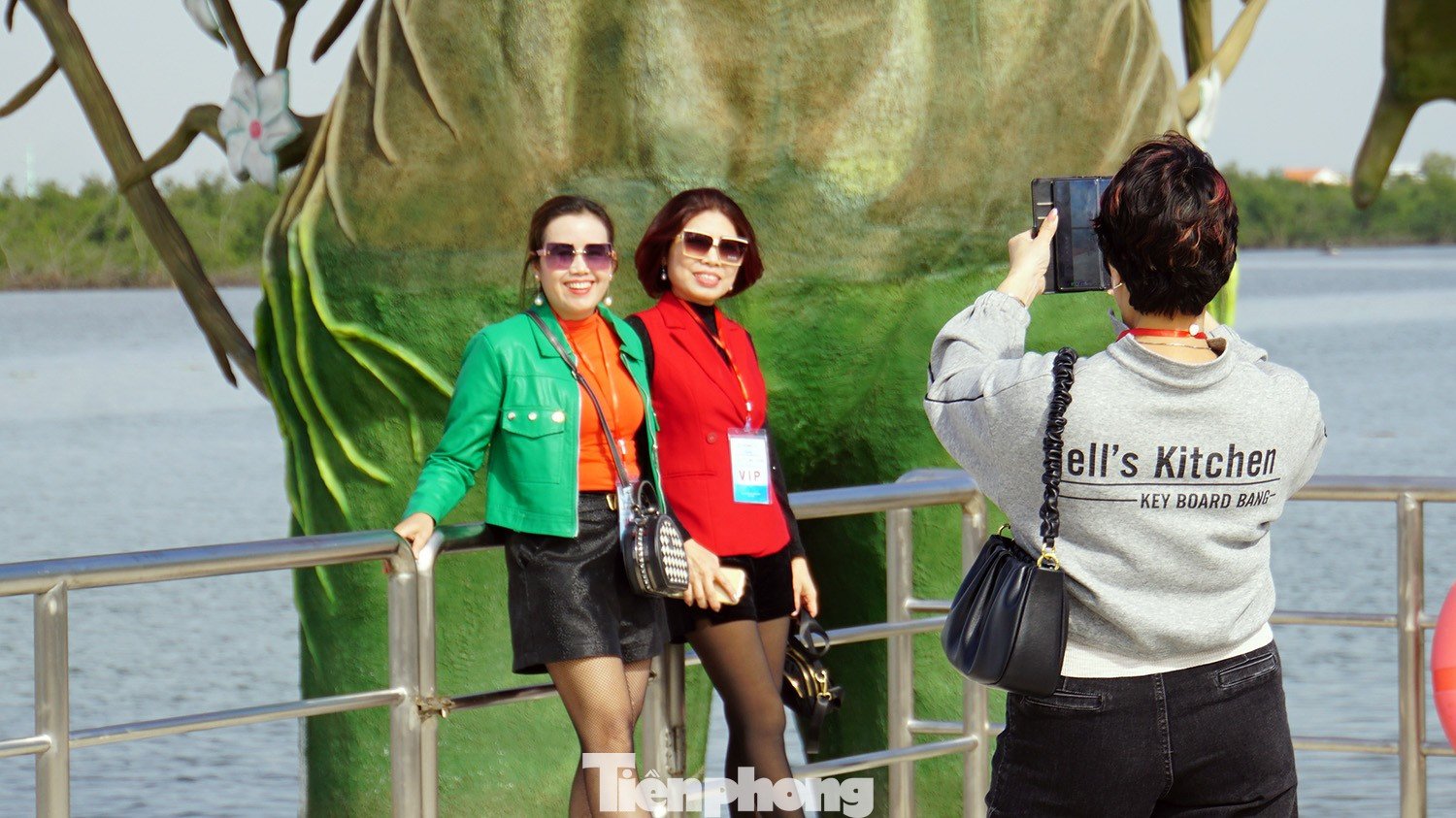 Du khách thích thú trải nghiệm rừng ngập mặn ở Đồ Sơn - 6