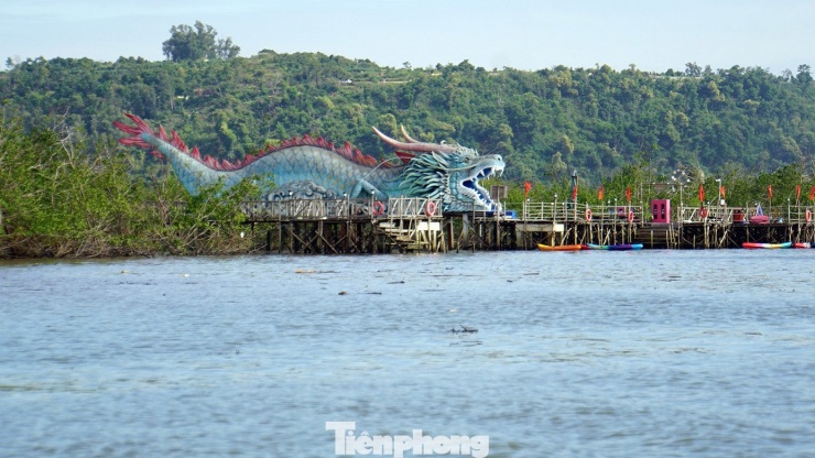 Du khách thích thú trải nghiệm rừng ngập mặn ở Đồ Sơn - 7