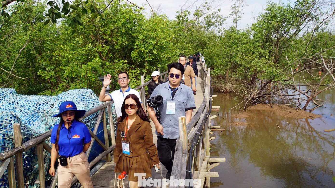 Du khách thích thú trải nghiệm rừng ngập mặn ở Đồ Sơn - 12