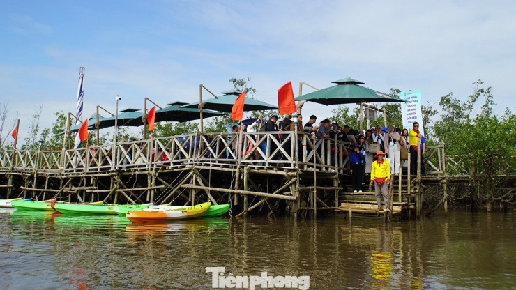 Du khách thích thú trải nghiệm rừng ngập mặn ở Đồ Sơn - 11