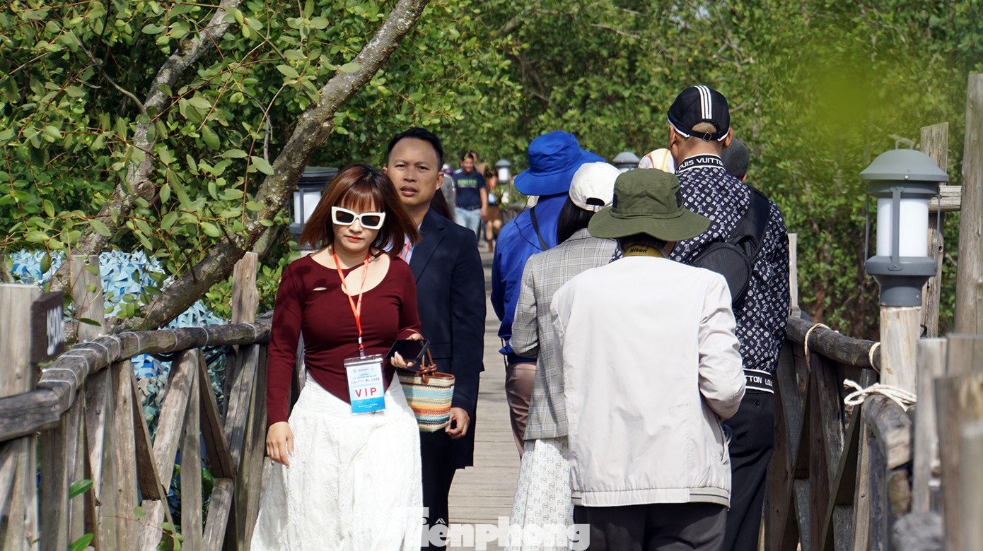 Du khách thích thú trải nghiệm rừng ngập mặn ở Đồ Sơn - 13