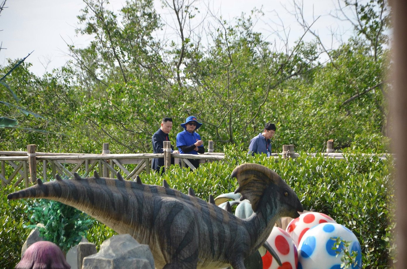 Du khách thích thú trải nghiệm rừng ngập mặn ở Đồ Sơn - 14