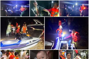 Ngàn lời khẩn cầu trong đêm và kỷ lục cứu hộ của nhóm tình nguyện viên quả cảm