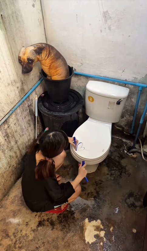 Cuộc sống kì lạ trong toilet 5m2 của cô gái TikTok triệu view - Ảnh 7.