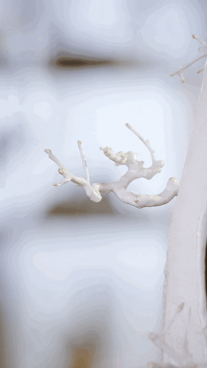 Người phụ nữ U50 bỏ việc lương cao về Người phụ nữ U50 bỏ việc lương cao về