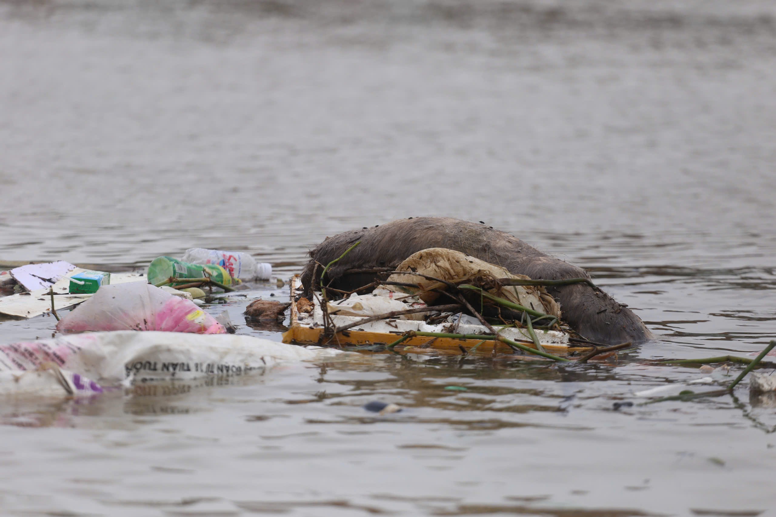 Rốn lũ hòa Xuân tan hoang cần cứu trợ khẩn cấp cho người dân bị ảnh hưởng - Ảnh 8.