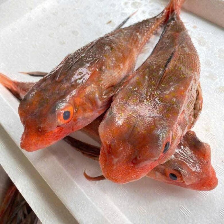 Loài cá có tên như loài bò sát mình toàn xương xưa chỉ cho gia súc ăn, nay nướng lên thơm nức mũi thành đặc sản amp;#34;tuyệt đỉnhamp;#34; - 2