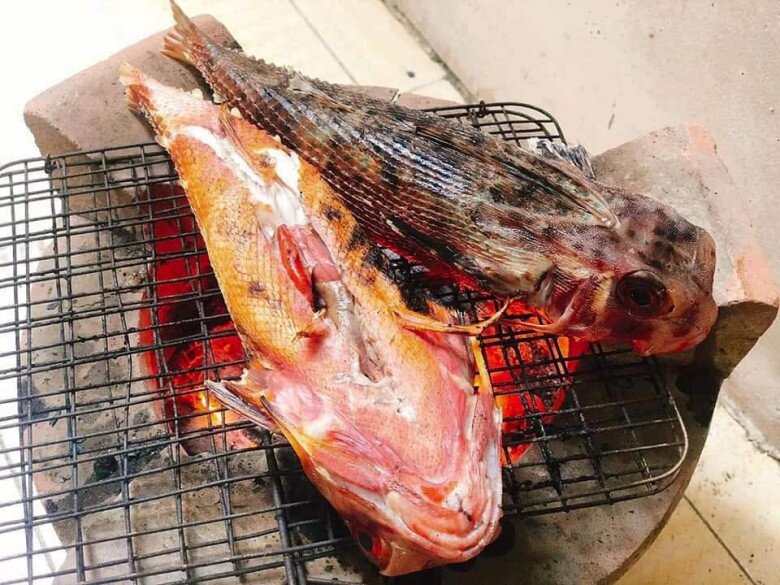 Loài cá có tên như loài bò sát mình toàn xương xưa chỉ cho gia súc ăn, nay nướng lên thơm nức mũi thành đặc sản amp;#34;tuyệt đỉnhamp;#34; - 3