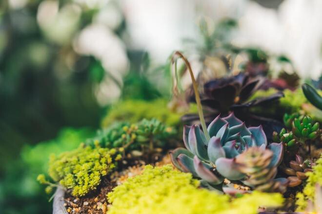 Muốn thay đổi vận mệnh, người khôn ngoan nắm bắt tốt 3 giai đoạn quan trọng này - 2