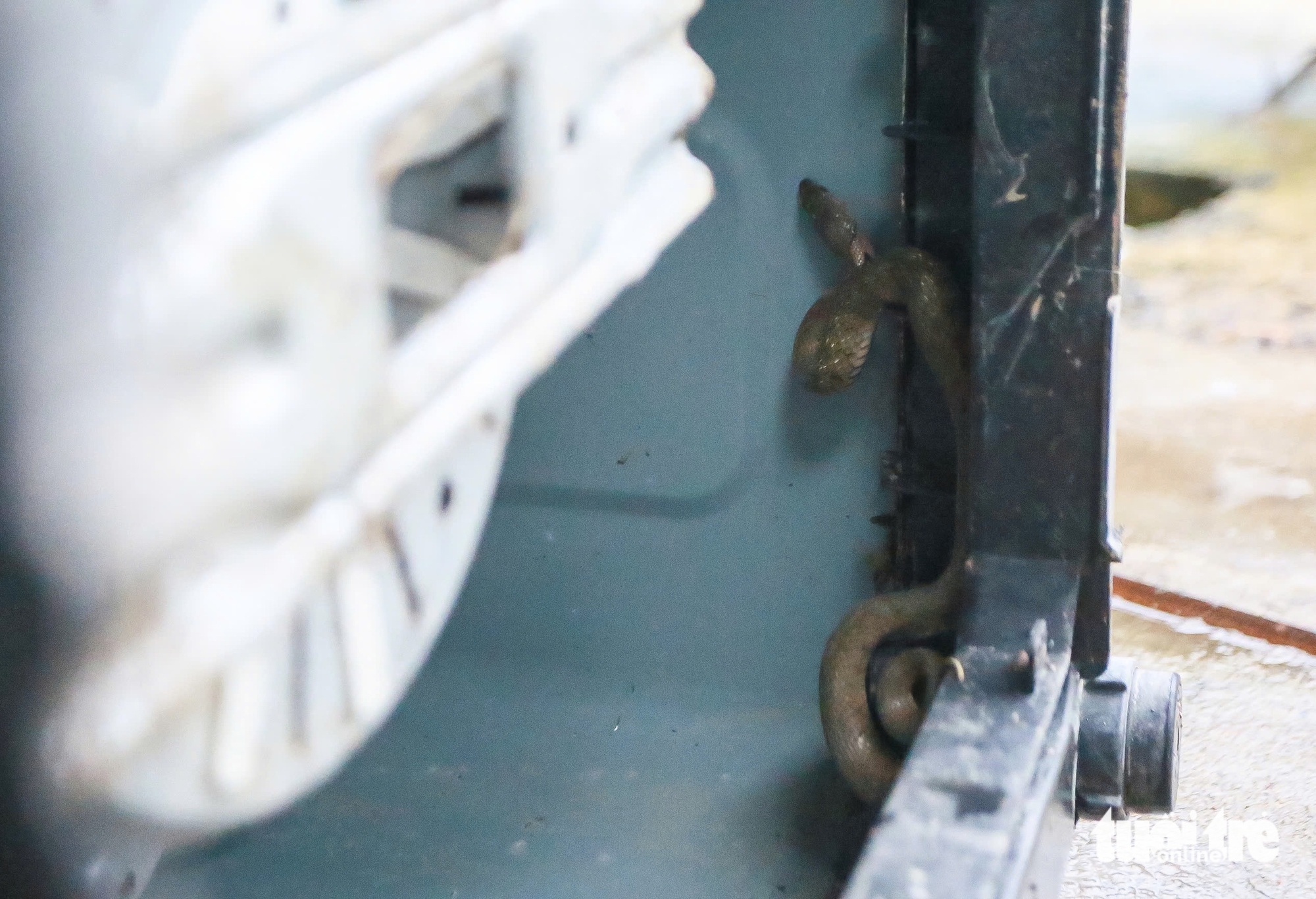 Thợ điện tử tới rốn lũ Đông Hòa, giúp bà con sửa tủ lạnh, máy giặt miễn phí 4 tủ lạnh - Ảnh 4.