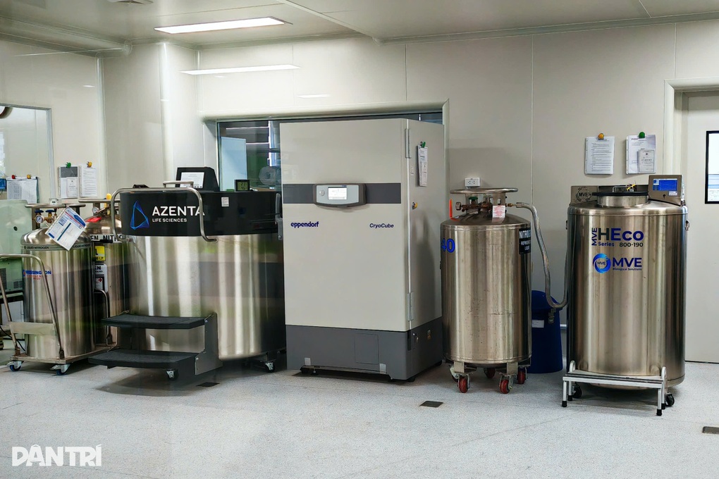 Loại tế bào vạn năng có tiềm năng chữa lành nhiều bệnh khó - 2