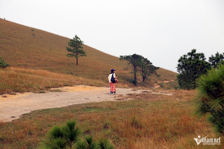 Có nhiều du khách chọn tới đây một mình để thỏa đam mê khám phá thiên nhiên