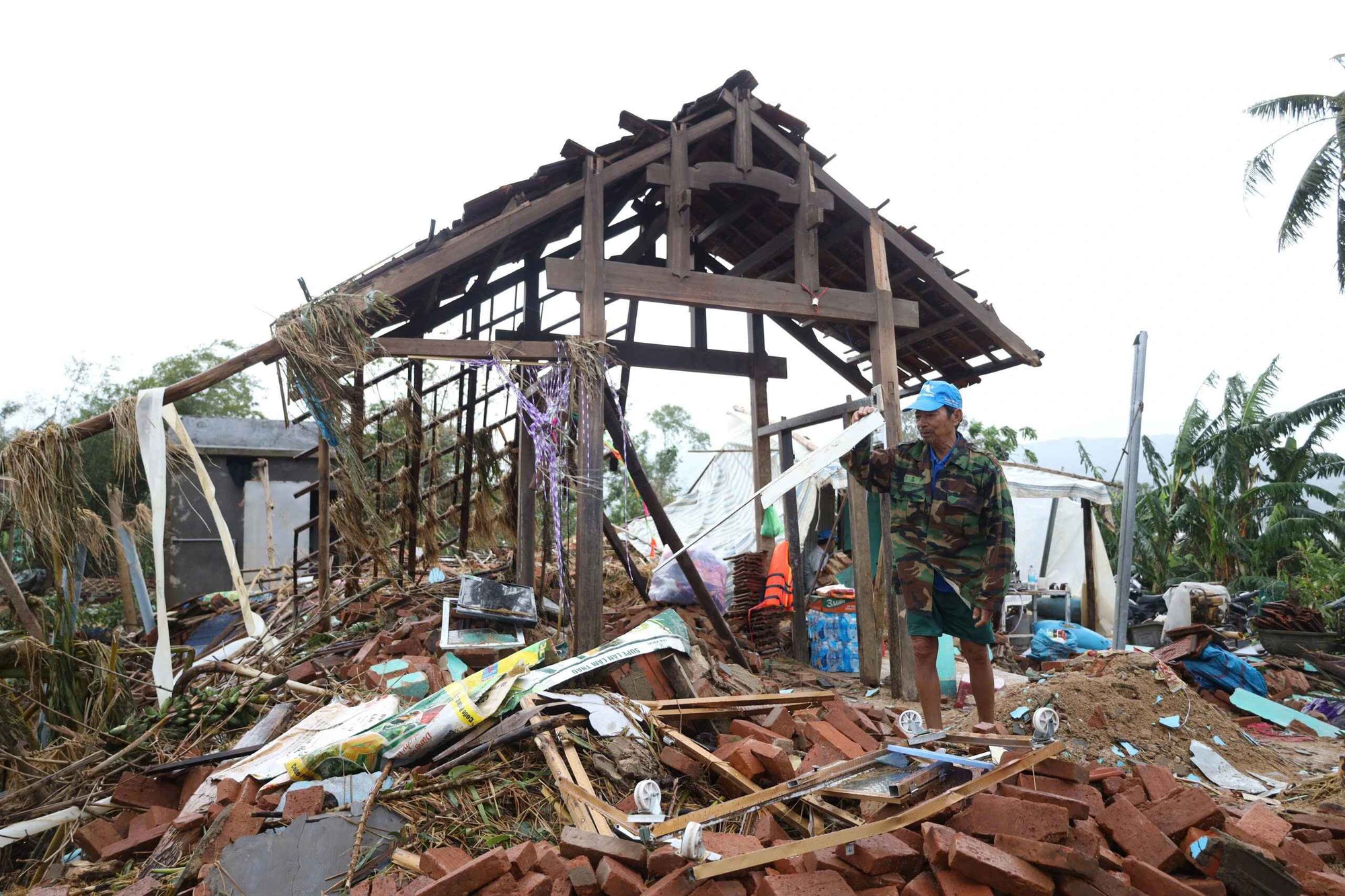 - Ảnh 2. - Ảnh 2.