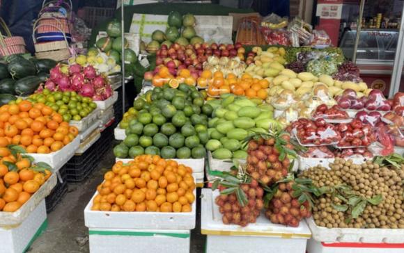 rau xanh 1 rau xanh, giá rau xanh, kiến thức