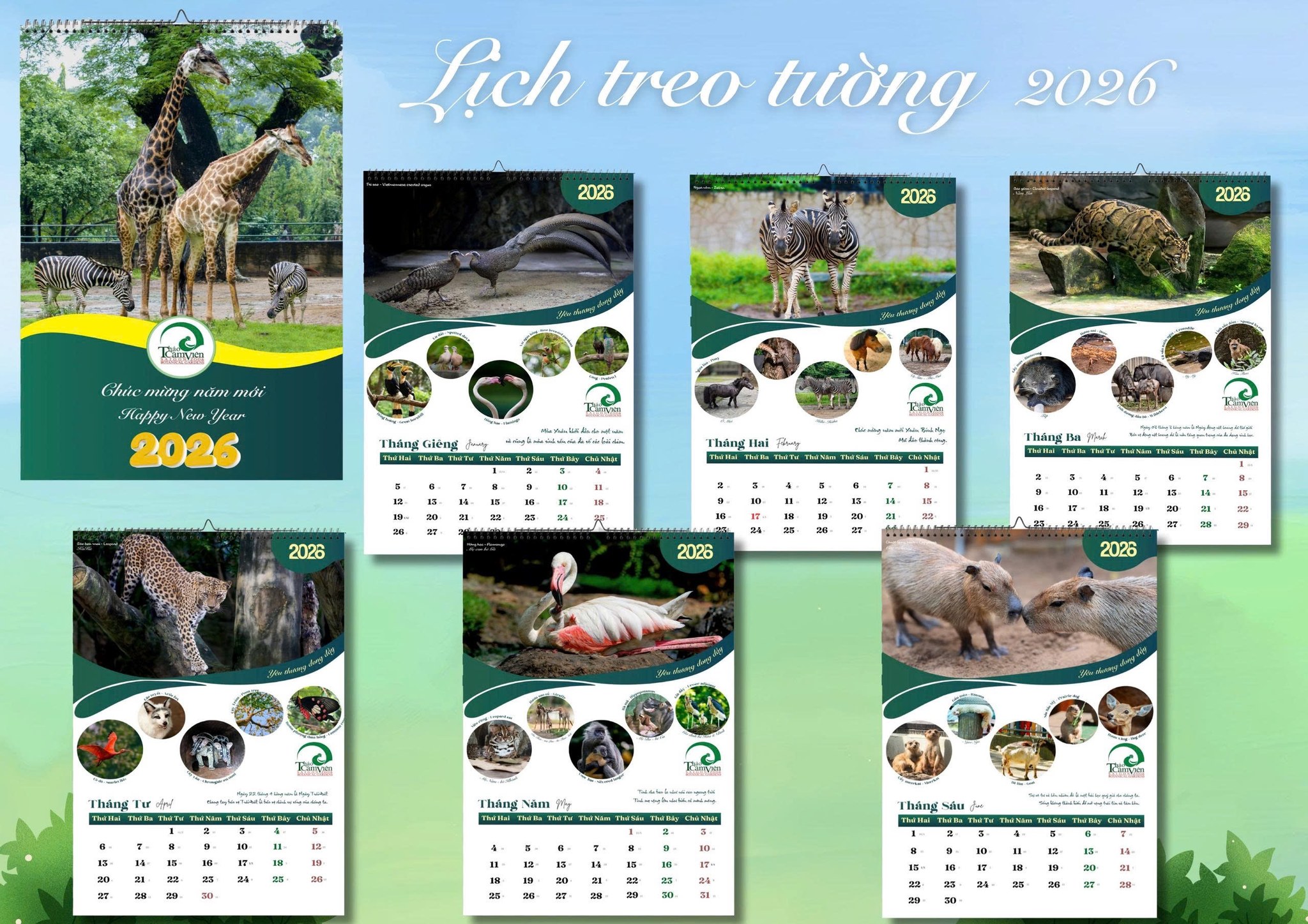 công chứng - Ảnh 5.