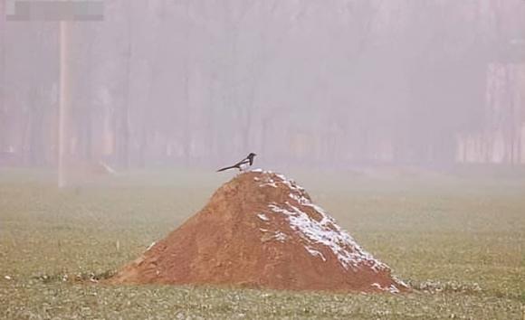 xây mộ, lăng mộ, 