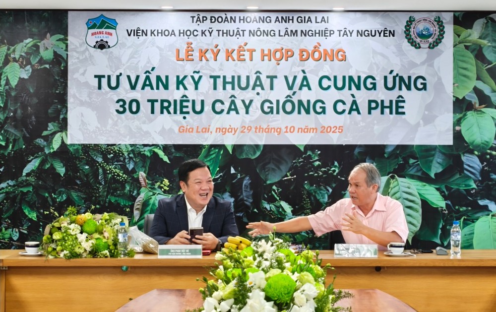 Bầu Đức và hành trình HAGL từ vực phá sản đến lãi ngàn tỉ - Ảnh 4.