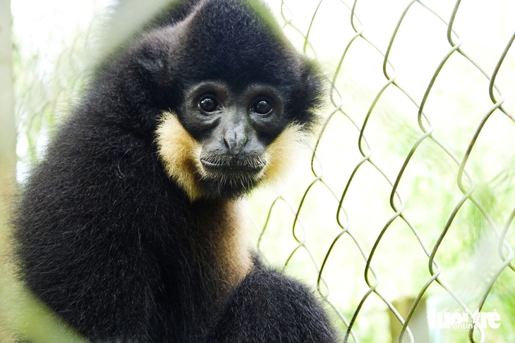 Bên trong khu cứu hộ động vật hoang dã quý hiếm bậc nhất miền Tây 2 Động vật hoang dã - Ảnh 2.