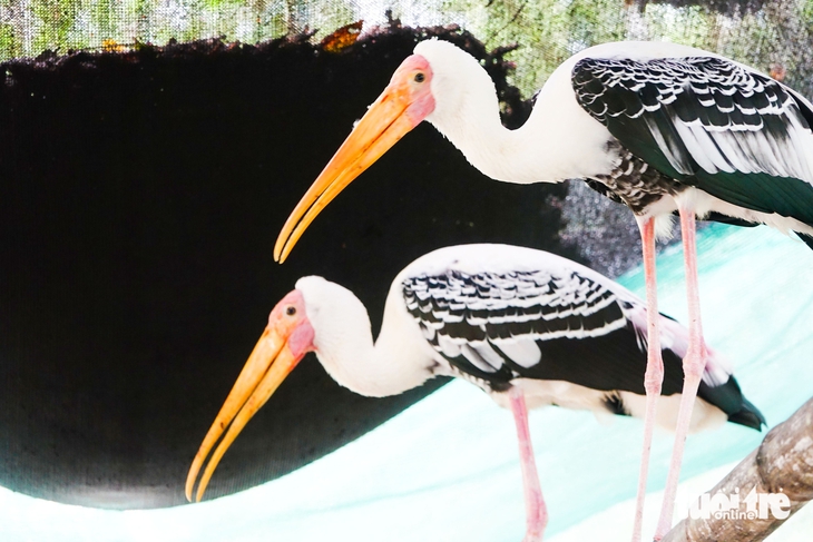 Bên trong khu cứu hộ động vật hoang dã quý hiếm bậc nhất miền Tây 4 Động vật hoang dã - Ảnh 4.