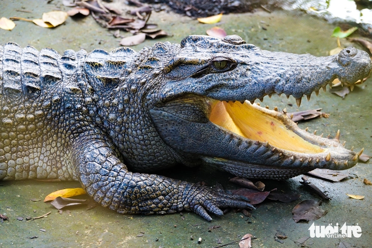 Bên trong khu cứu hộ động vật hoang dã quý hiếm bậc nhất miền Tây 5 Động vật hoang dã - Ảnh 5.