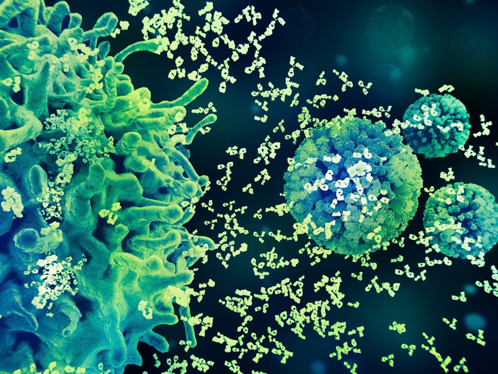 Chủ động phòng ngừa HPV từ hôm nay - 2