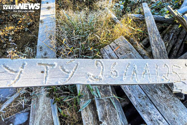 Y Tý xuất hiện băng giá, những tán cây rừng đẹp kỳ ảo- Ảnh 3.