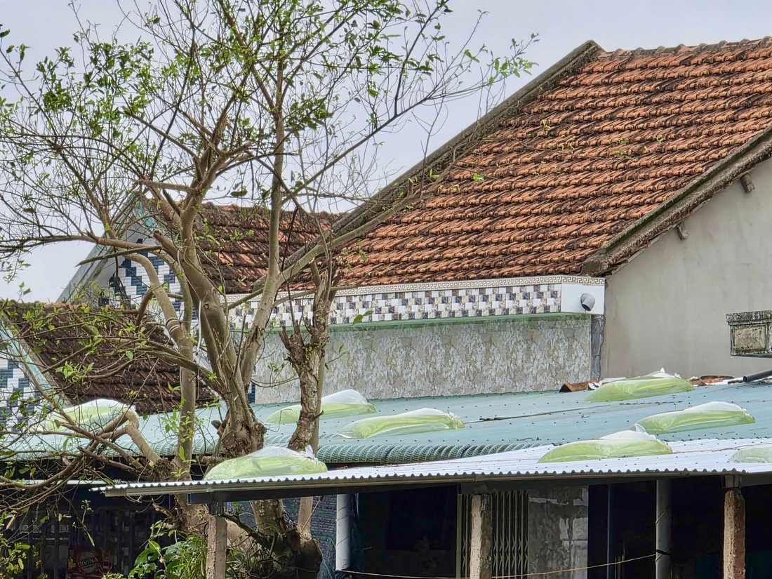 Hòa Thịnh - Ảnh 10.