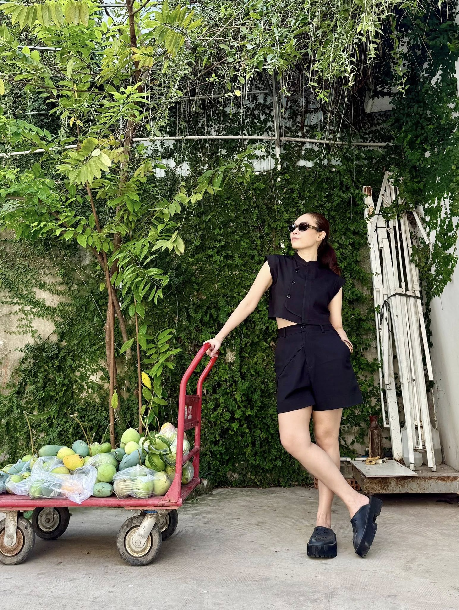 Ca sĩ Mỹ Tâm: Bức ảnh sau 23 năm gây sốt, lý do sống bình dị tuổi 44 - 4 Ca sĩ Mỹ Tâm: Bức ảnh sau 23 năm gây sốt, lý do sống bình dị tuổi 44 - 4