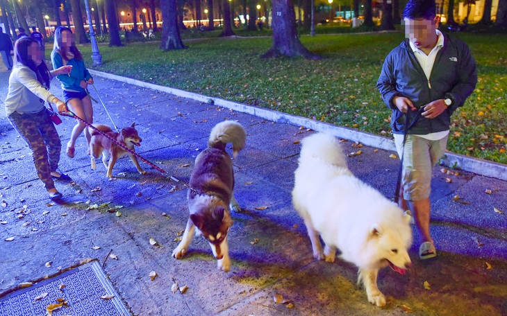 Kiểm soát bệnh dại bắt đầu từ chó, mèo - Ảnh 3.