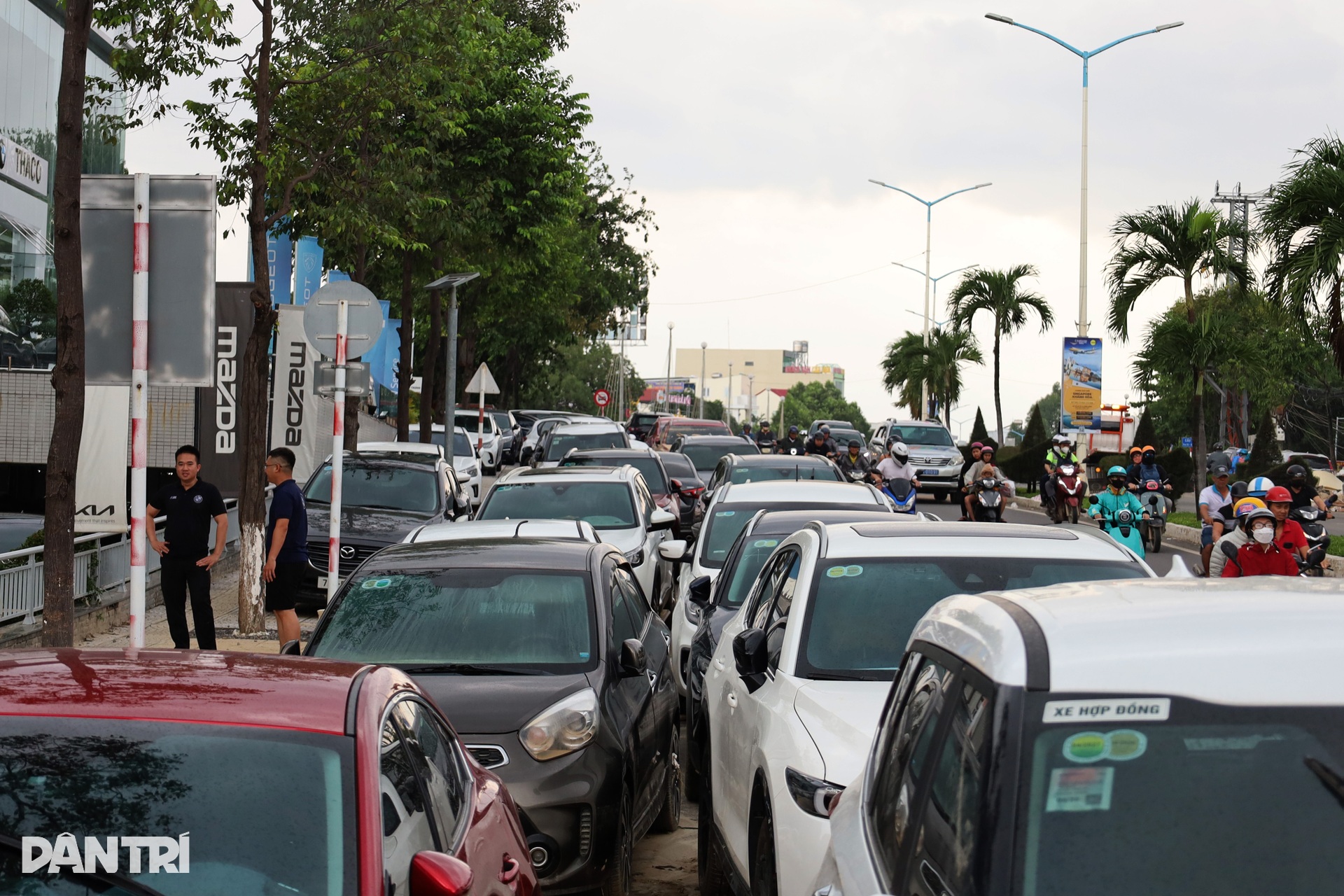 Nha Trang sau lũ: Gara quá tải, ô tô ngập nước la liệt chờ sửa chữa đến Tết - 2