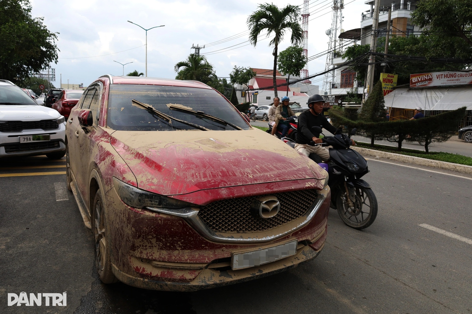 Nha Trang sau lũ: Gara quá tải, ô tô ngập nước la liệt chờ sửa chữa đến Tết - 3