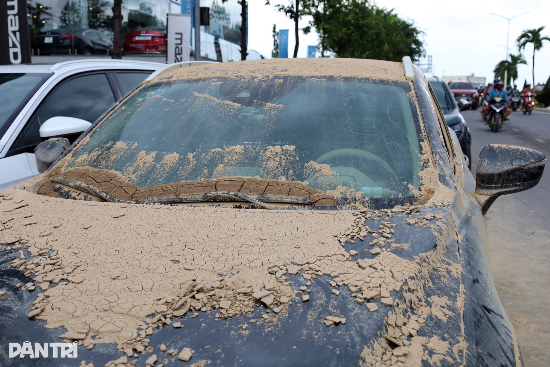 Nha Trang sau lũ: Gara quá tải, ô tô ngập nước la liệt chờ sửa chữa đến Tết - 4