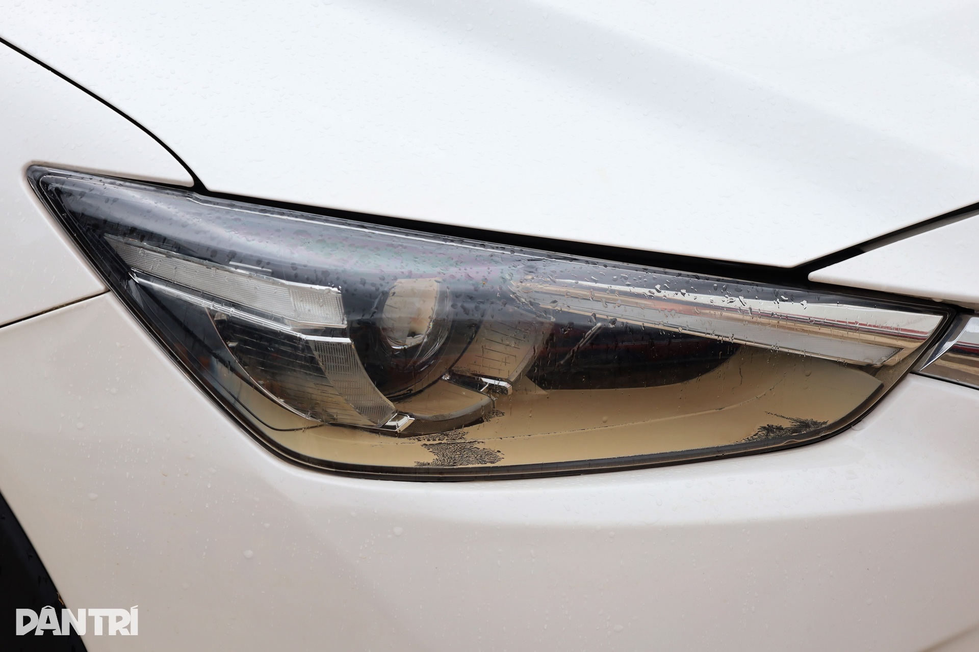 Nha Trang sau lũ: Gara quá tải, ô tô ngập nước la liệt chờ sửa chữa đến Tết - 7