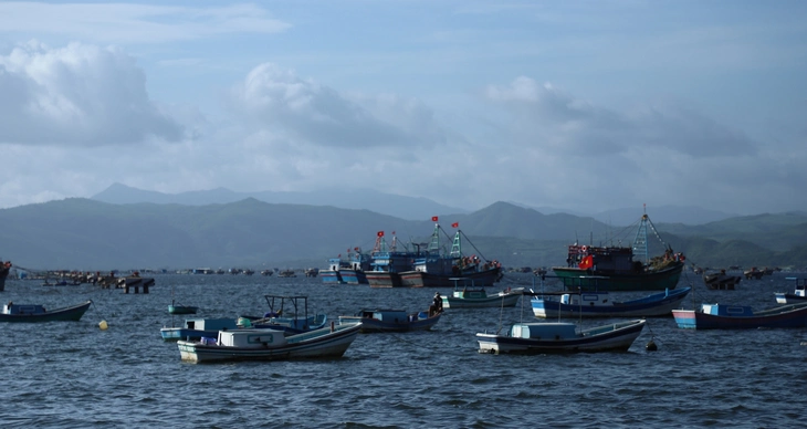 Dân vùng lũ vừa sửa nhà, vừa lo bão số 15 - Ảnh 3. Dân vùng lũ vừa sửa nhà, vừa lo bão số 15 - Ảnh 3.