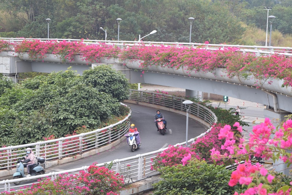 Hạn chế xe máy xăng: Kinh nghiệm chống sốc từ Trung Quốc - 5