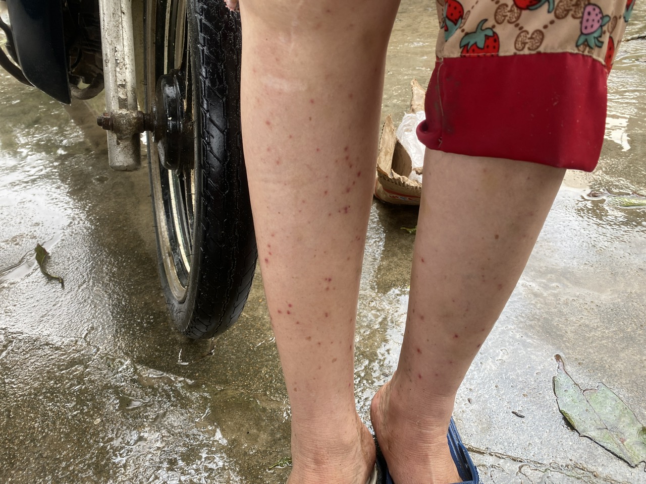 vùng lũ - Ảnh 3.