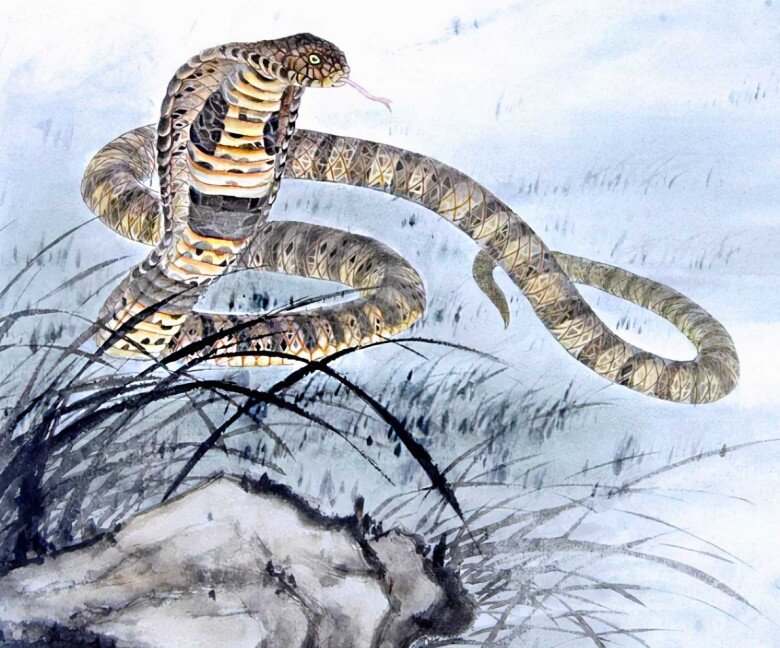 4 con giáp vừa giàu vừa may, có cuộc sống đáng ao ước sau tuổi 45 2 4 con giáp vừa giàu vừa may, có cuộc sống đáng ao ước sau tuổi 45 - 2